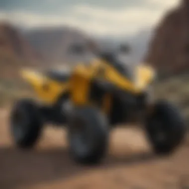 Magnificent A Comprehensive Analysis of the Can-Am DS 250 Specifications