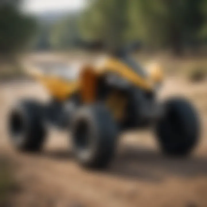 A Comprehensive Analysis of the Can-Am DS 250 Specifications Summary